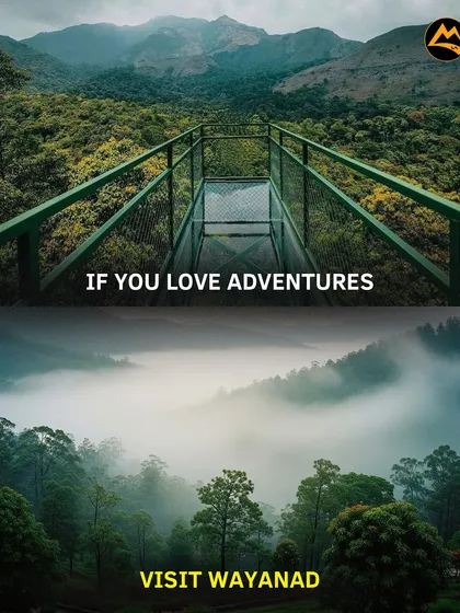 If you love adventures, Wayanad awaits. From glass bridges to ziplines and cave explorations, it's a playground for the adventurous soul.