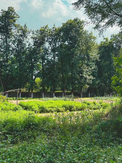 A wide shot of our beautiful, green farm. This is where the journey of our food begins, with high-quality organic seeds and a commitment to working with the seasons.