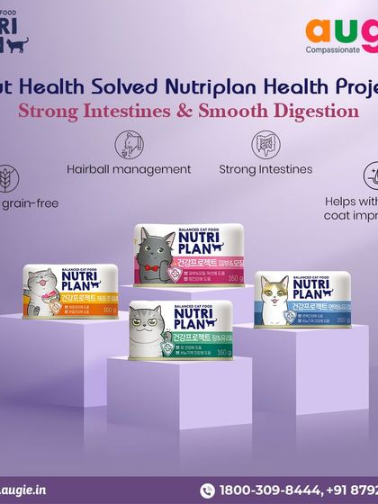 Augie Pets - Pet Supplies For Our Feline Friends: Premium Cat Nutrition photo 44