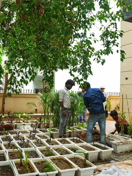We do all the dirty work so you don’t have to. Here's my team preparing a large number of plants for a commercial project.
