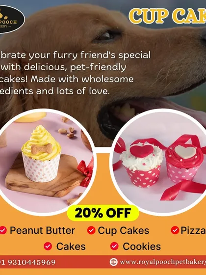 A look at some of my cupcake designs, from a simple swirl of frosting to more decorative, heart-themed creations. All are made with wholesome, pet-safe ingredients.