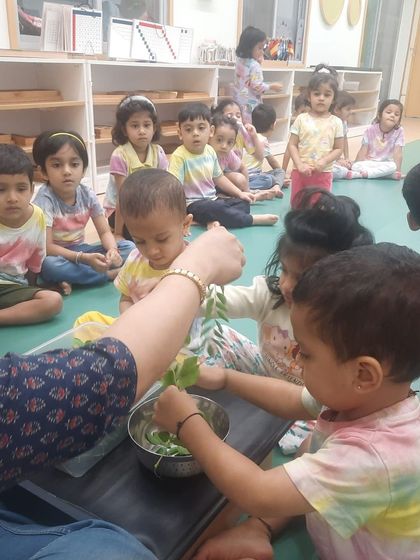 Evolve Montessori - Montessori Preschool Program Curious Hands, Happy Minds photo 4