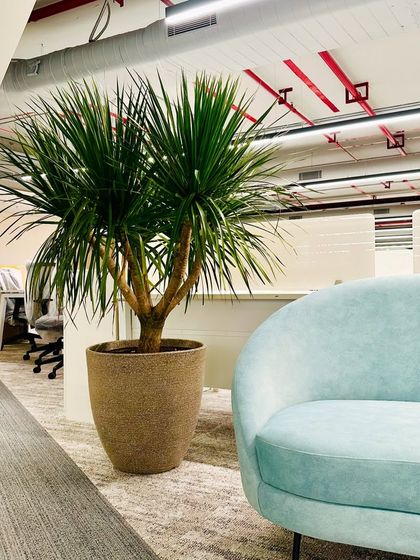 Corporate & Showroom Environments photo 7