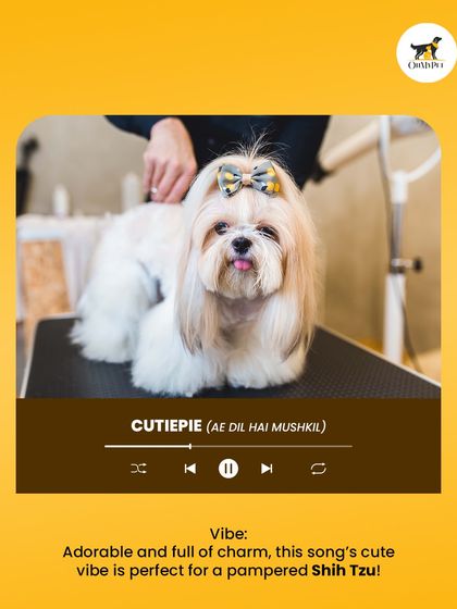 Oh My Pet - At-home Pet Grooming What's Your Pet's Personality? photo 4