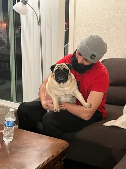 Cuddles on the couch are the best reward. Here's Buddy the pug getting some love from his dad after his successful relocation to the USA. This is what family is all about.
