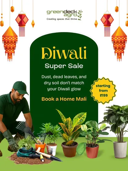Getting your home ready for Diwali? Don't let your plants look tired. This promotional graphic highlights our on demand Home Mali service for a festive season refresh.