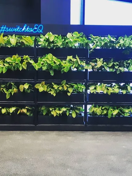 For the Mercedes-Benz EQ showroom, we designed and installed this striking vertical green wall. This living feature wall not only enhances the modern aesthetic of the space but also naturally purifies the air, reflecting the brand's commitment to a sustainable future.