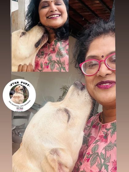 Star Pups - Pet Grooming Our Furry Friends & Family photo 19