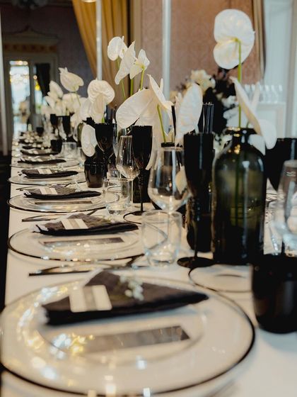 A duplicate of Image 224.