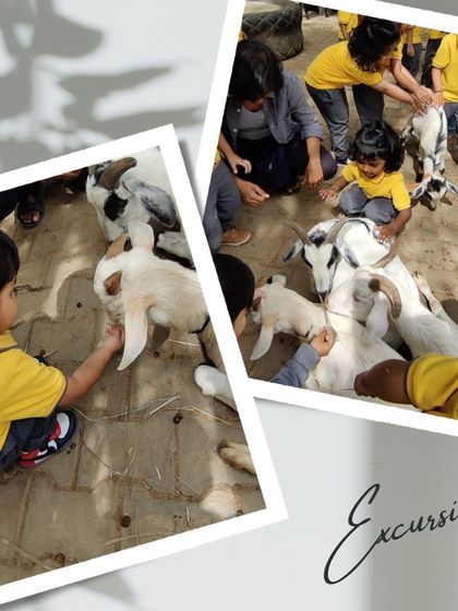 Ace Montessori - Summer Camp Outdoor Adventures & Excursions photo 20