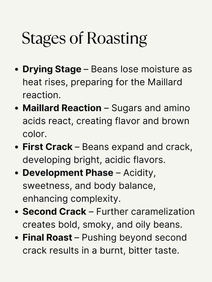 From the drying stage to the first and second cracks, this graphic provides a clear, step-by-step guide to the coffee roasting process.
