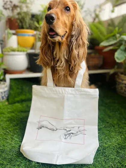 Posto proudly modeling his new tote bag. He can now carry his own stuff.