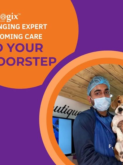 We are just a call away. Our groomer is ready to provide expert care for your pet, ensuring a gentle and positive experience inside our mobile van.